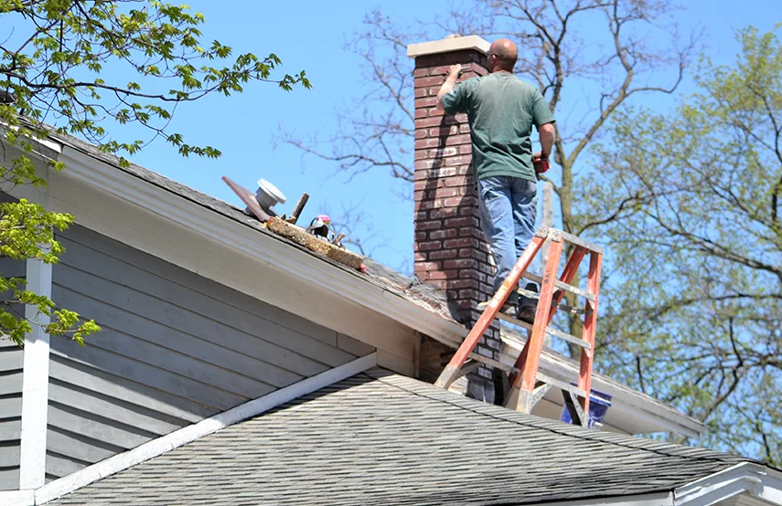 Chimney & Fireplace Inspections Services in Spanish Springs, NV